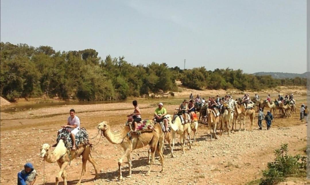 Riad Dar Salam Agadir Ngoại thất bức ảnh