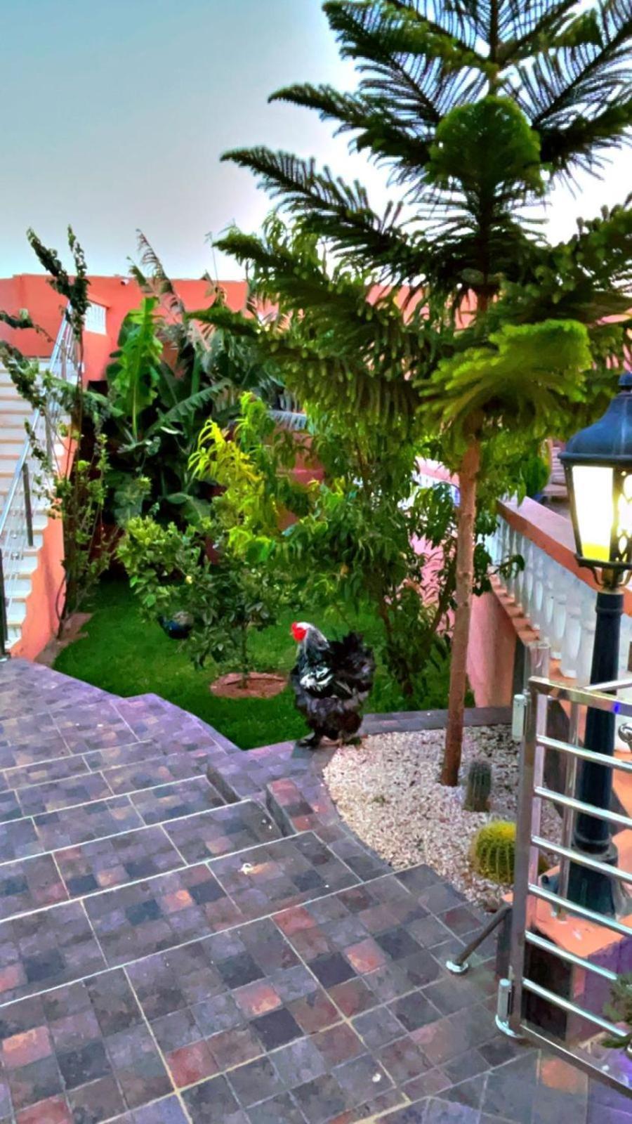 Riad Dar Salam Agadir Ngoại thất bức ảnh
